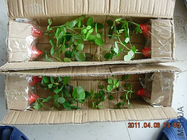ŷ�� 188.jpg