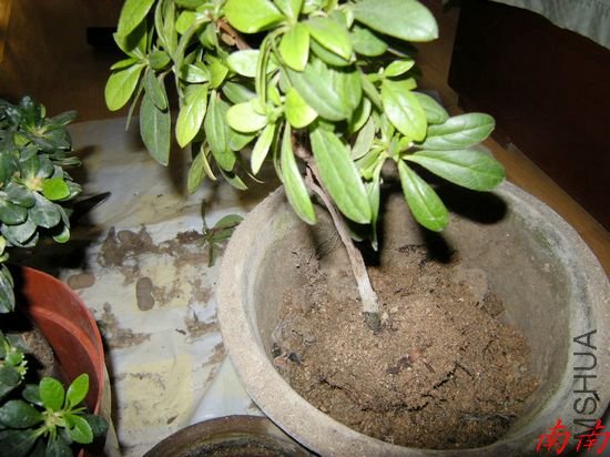 DSCN1089.jpg