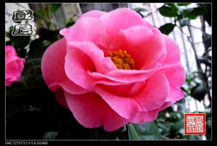 2011����-01.jpg