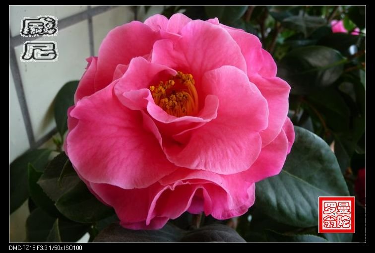 2011����-02.jpg
