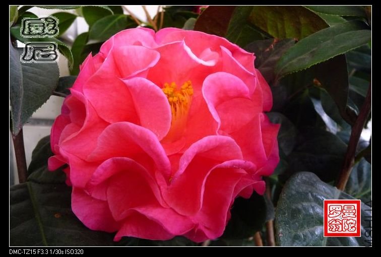2011����-05.jpg