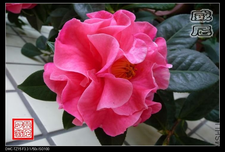 2011����-04.jpg