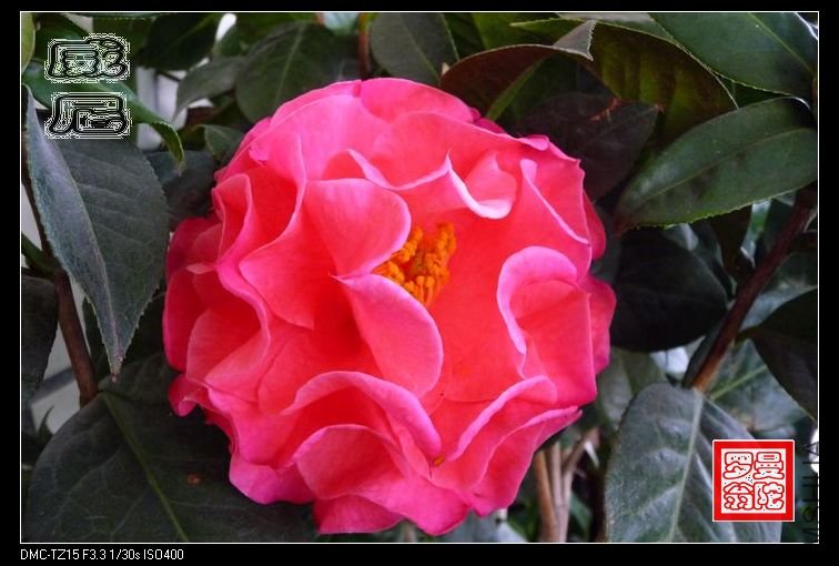 2011����-06.jpg