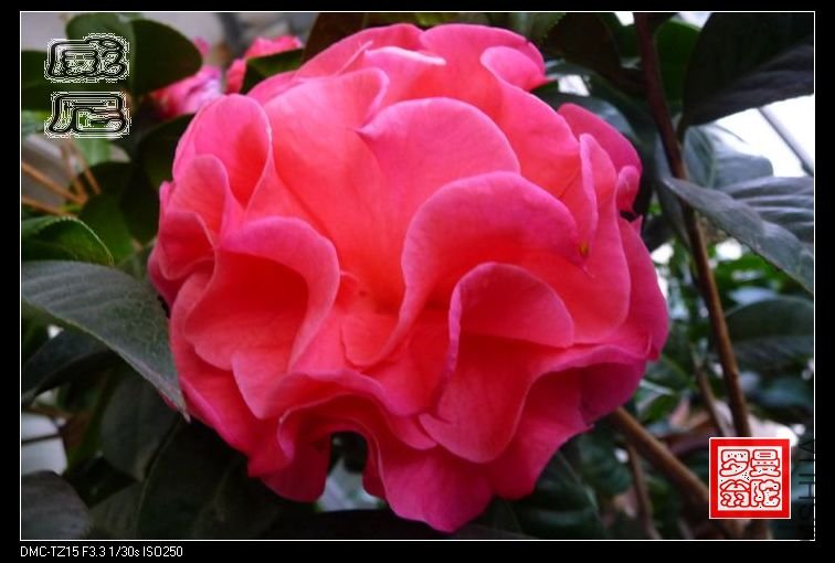 2011����-08.jpg