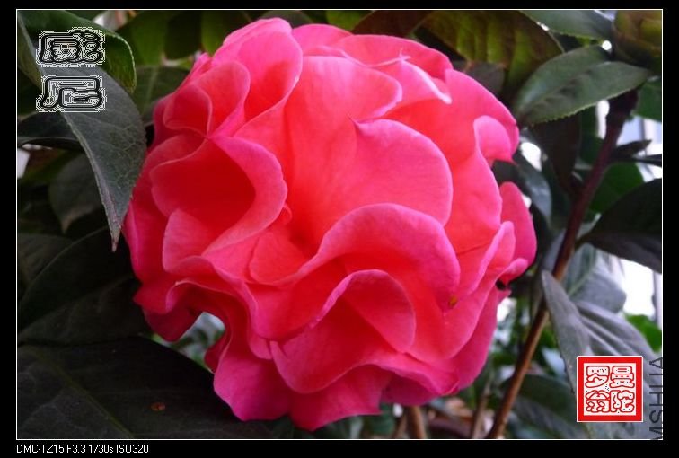 2011����-07.jpg