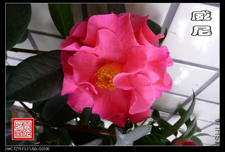 2011����-03.jpg