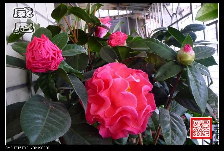 2011����-10.jpg