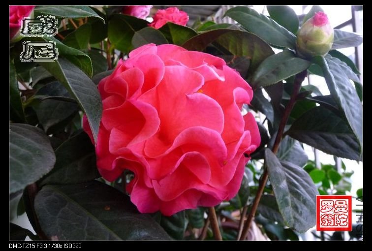 2011����-09.jpg