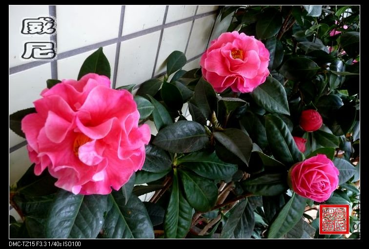 2011����-13.jpg