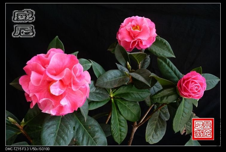 2011����-14.jpg