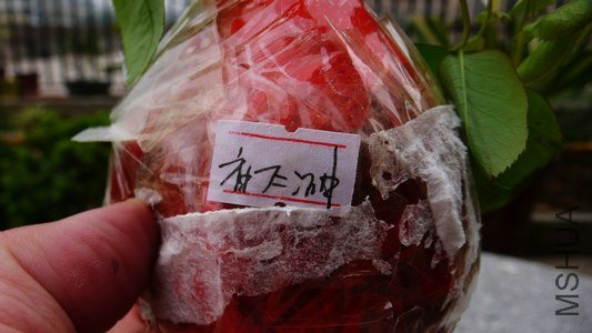 P1190516.jpg