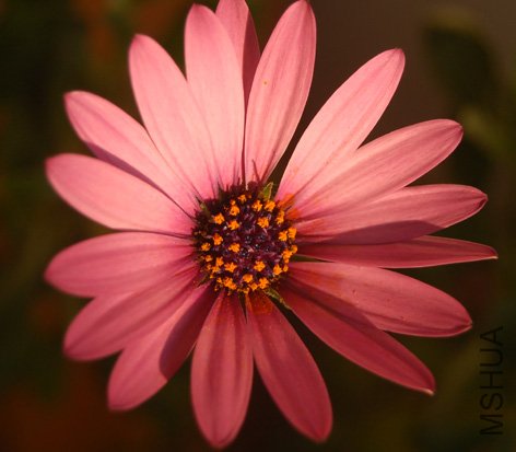 DSC_0005.JPG