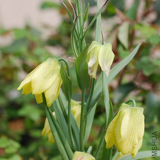 nEO_IMG_DSC_0383.jpg