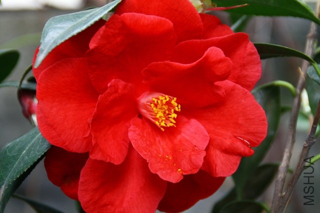 2011.04.08.��ã�Ĵ��� 017.jpg