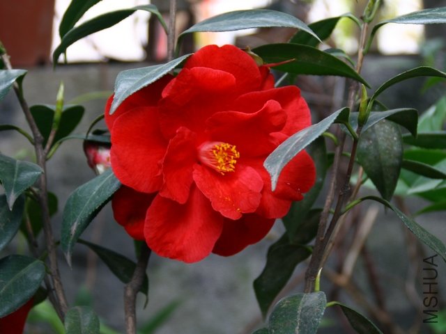 2011.04.08.��ã�Ĵ��� 015.jpg