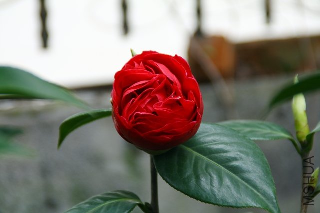 2011.04.08.��ã�Ĵ��� 021.jpg