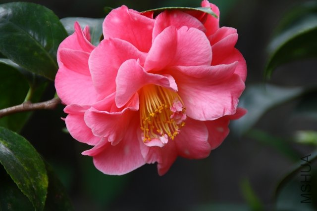 2011.04.08.��ã�Ĵ��� 010.jpg