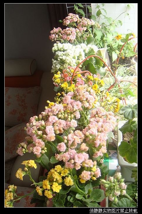 DSC08639.JPG