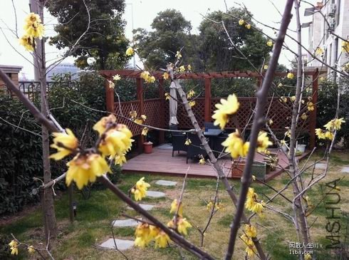 ������С 31486244.jpg