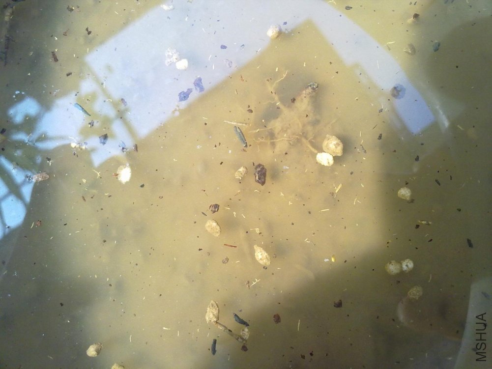 ����ǱȽϴ��ȫ��