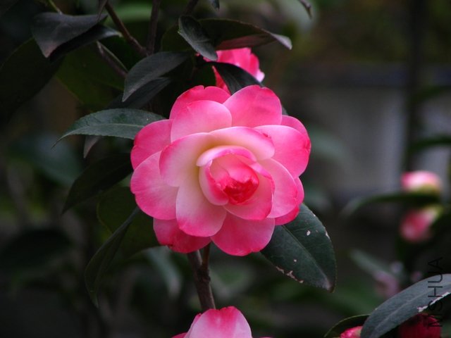 ��������.����.����.��ã�Ĵ��죡 024.jpg