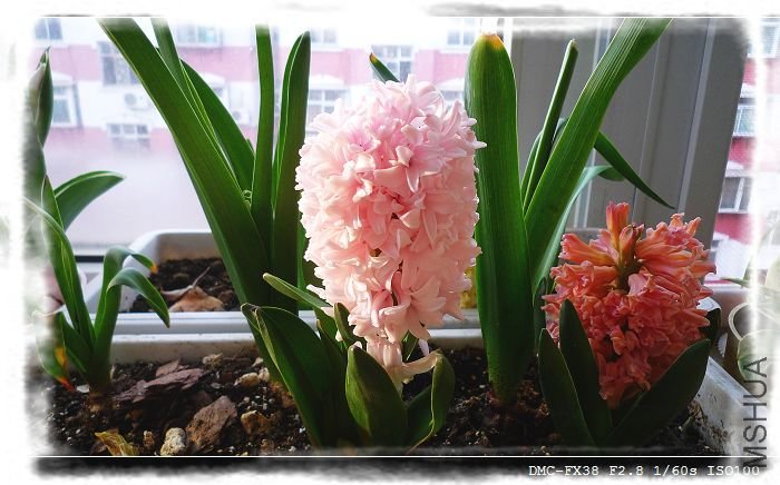 �ұߵ�����ɫ����