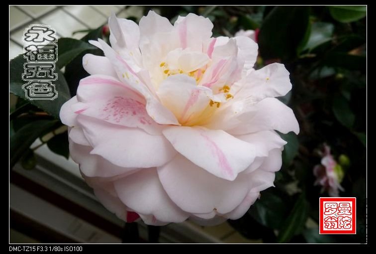 2011������ɫ-08.jpg