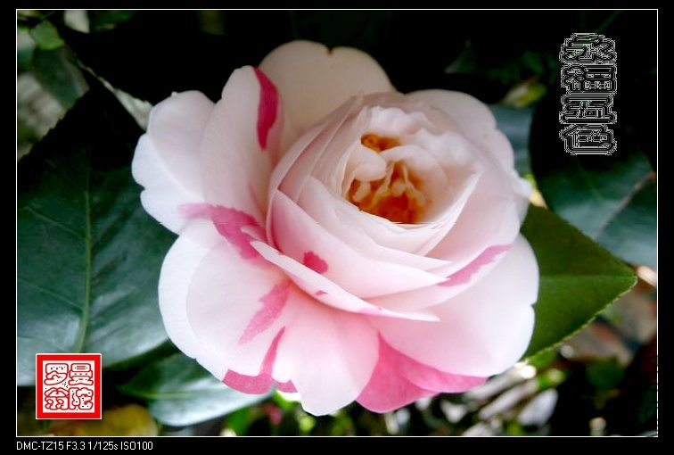 2011������ɫ-32.jpg