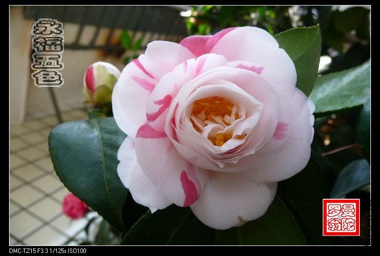 2011������ɫ-31.jpg