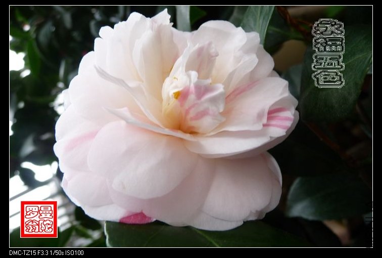 2011������ɫ-37.jpg