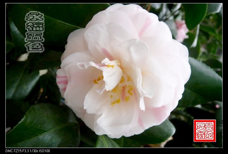 2011������ɫ-38.jpg