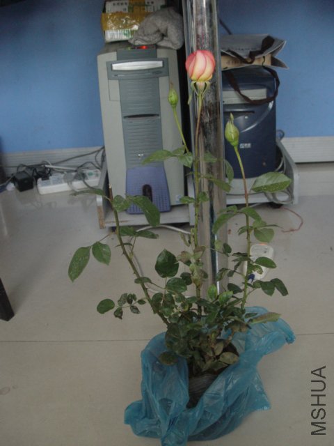 DSC00582.JPG