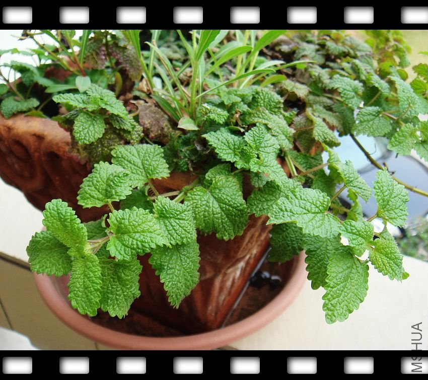 ż�������ֵ���������