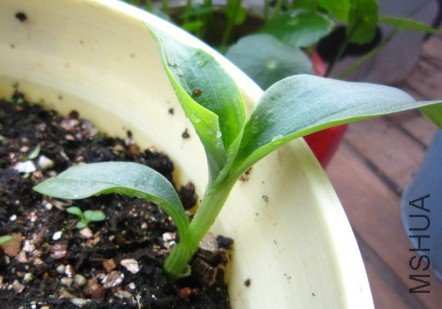 ѩޢ 016_����.jpg