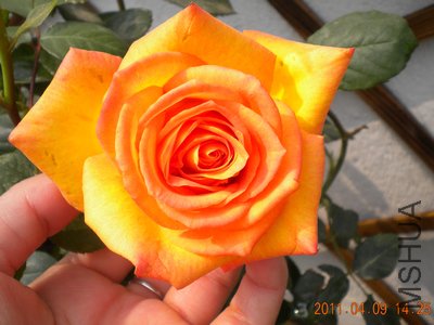 DSCN1149.jpg