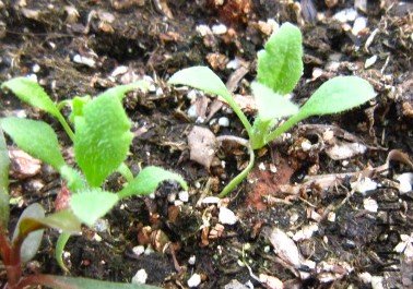 ѩޢ 007_����.jpg