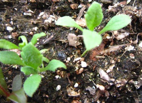 ѩޢ 008_����.jpg