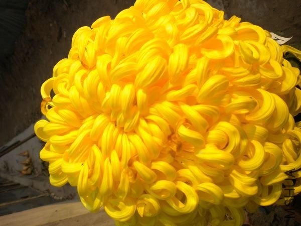 ��Ƭ11 016.jpg