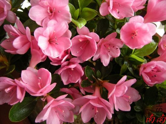 DSCN1022.jpg