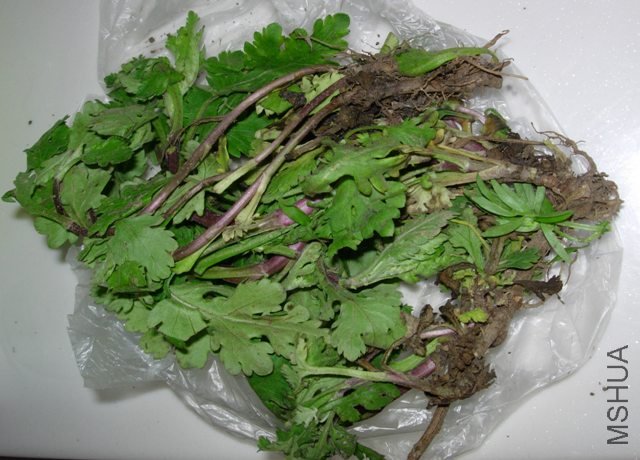 DSCN6168.JPG