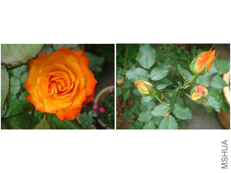 �����յ�