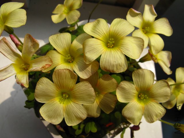 �������о������ǰһ��Ӧ�ø��������Ҵ����˺ܶ�й�