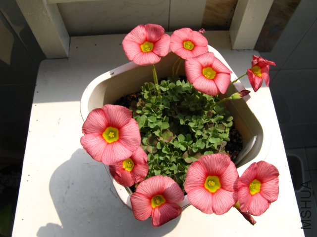 ������˼�����е�ͺͷ