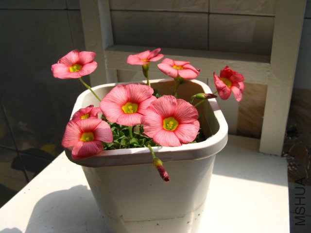 �ۻ����Ƕ�