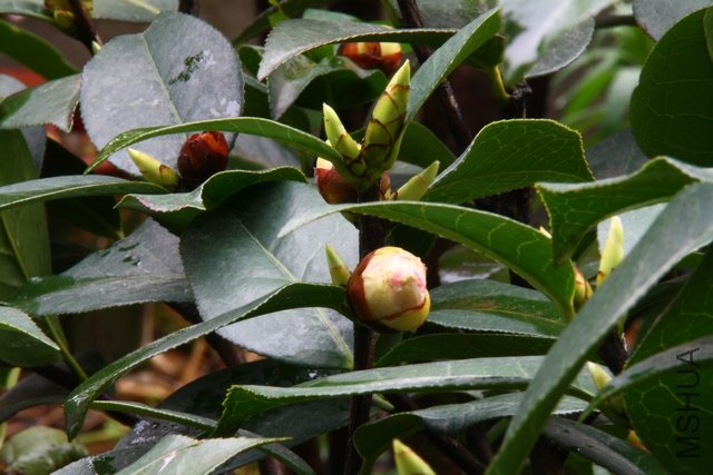 2011.04.10.�軨 018+1.jpg