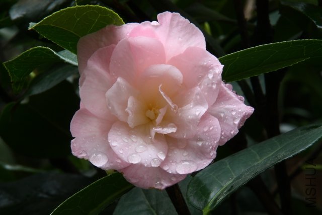 2011.04.10.�軨 013+1.jpg