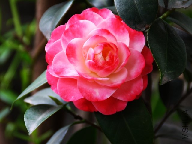 2011.04.10.�軨 146.jpg