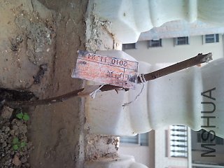 SNC00291.jpg