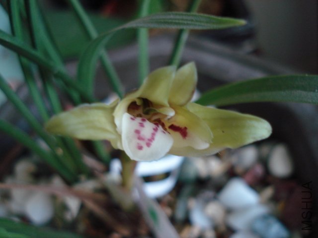 DSC05458.JPG