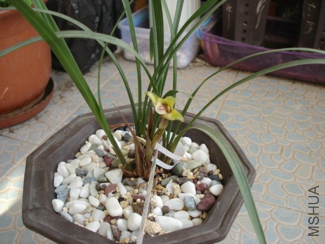 DSC05459.JPG